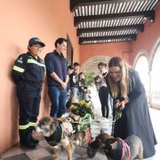 Presentaron a los Reyes Caninos Los protagonistas del Carnaval de Mérida 2025