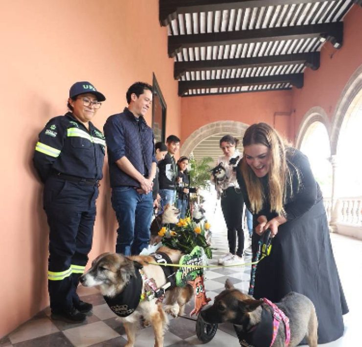 Presentaron a los Reyes Caninos Los protagonistas del Carnaval de Mérida 2025
