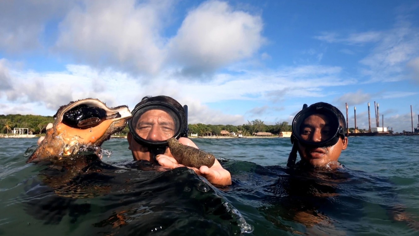 Zona de Refugio Pesquero de Isla Aguada para repoblación de especies