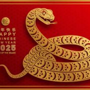 Año de la Serpiente: características y horóscopo chino 2025