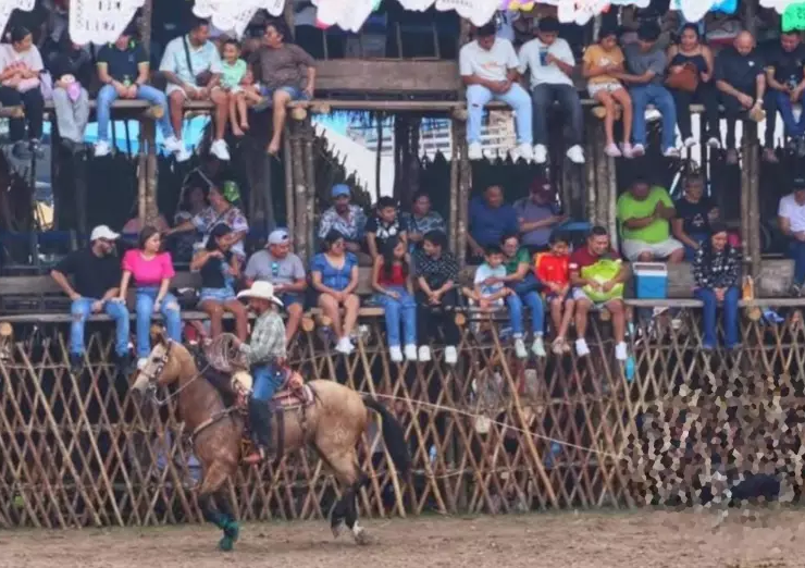 Maltrato animal en la feria de Tizimín: