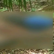 Misterioso Fallecimiento en el Monte en Yucatán