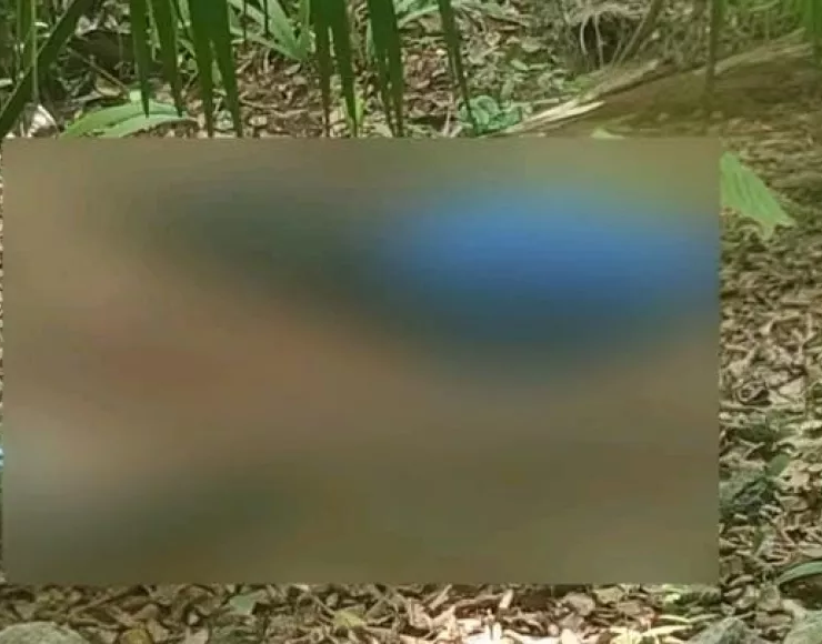 Misterioso Fallecimiento en el Monte en Yucatán