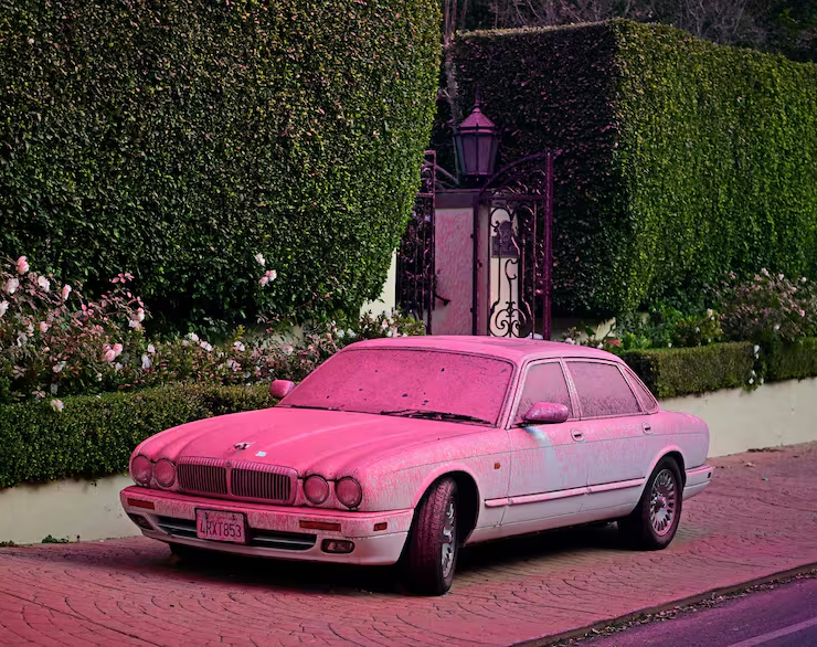 Qué es el polvo rosa que está salvando vidas en incendios