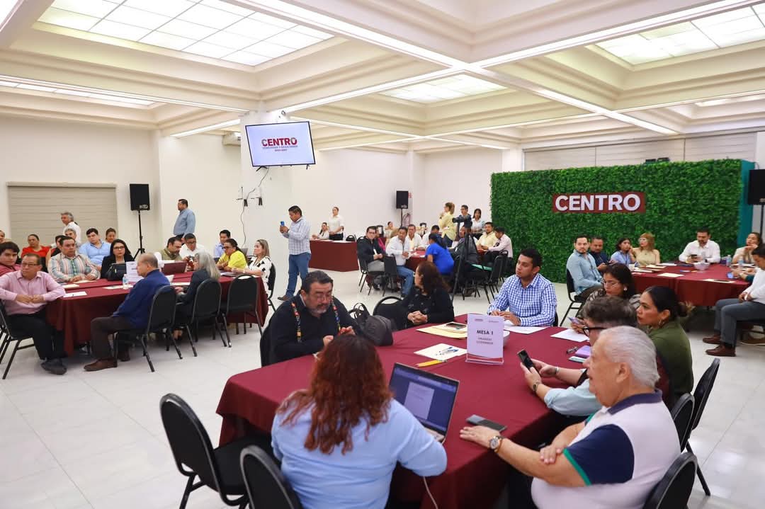 participación ciudadana