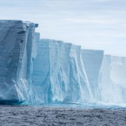 Nuevo iceberg se desprende de la Antártida. Es realmente enorme