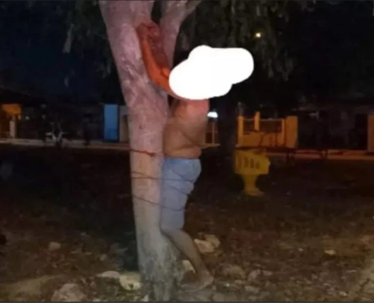 ¡Impactante! Amarran a sospechoso de robo a un Árbol en Umán
