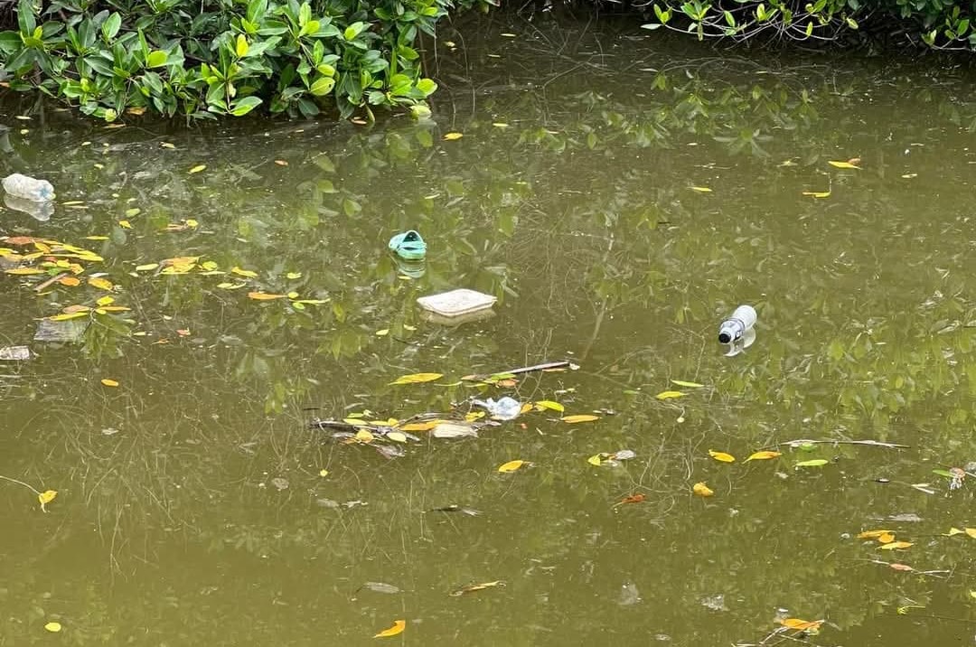 Juez Tercero de Distrito concede suspensión de cárcamos pluviales de Ciudad del Carmen