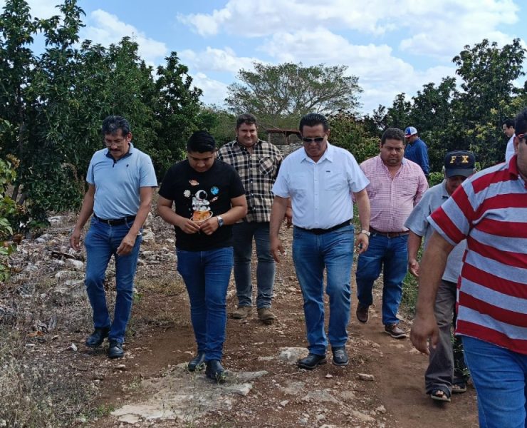 Descubre los programas y apoyos para impulsar la producción agropecuaria en Yucatán