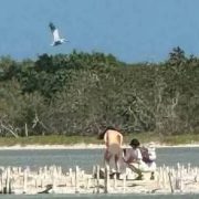 Exhibicionistas se toman fotos en yucatan en una zona restringida