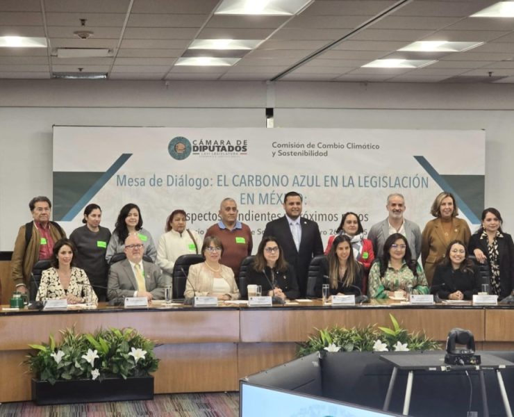 Gobierno de Tabasco refuerza acciones contra el cambio climático