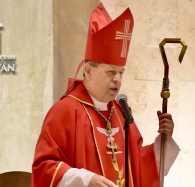 Homilía del V Domingo del Tiempo Ordinario