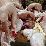 Riesgo para la salud comprar y consumir pollos a comercios ambulantes