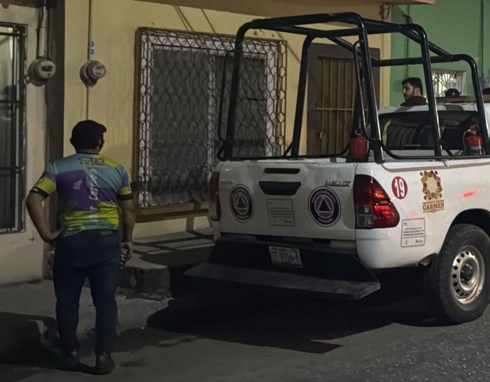 Fiscalía Especializada en Delitos contra Animales atiende quejas de maltrato animal