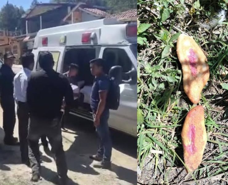 Mueren tres niños por comer pan envenenado