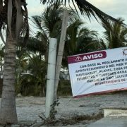 Área de juego general en el espacio recuperado el día de ayer