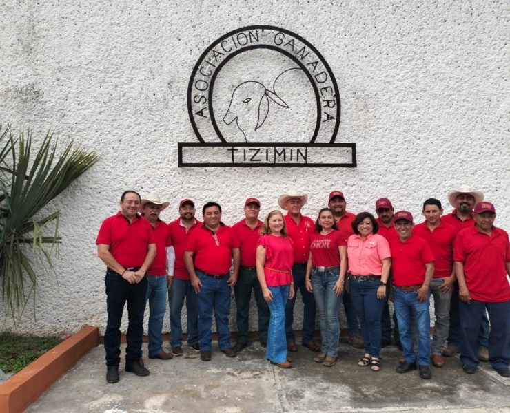 Registro oficial de la Planilla Roja para presidir a ganaderos en Tizimín ¿Quienes son?