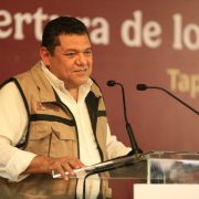 Cacao, el nuevo auge en Tabasco