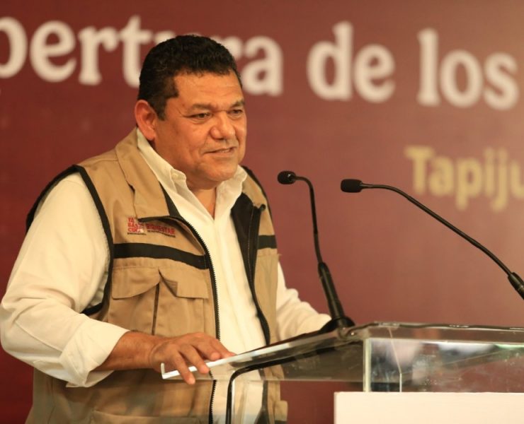 Cacao, el nuevo auge en Tabasco