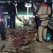 La Marina detiene en Progreso a pescadores con cargamento de caracol y mero en veda