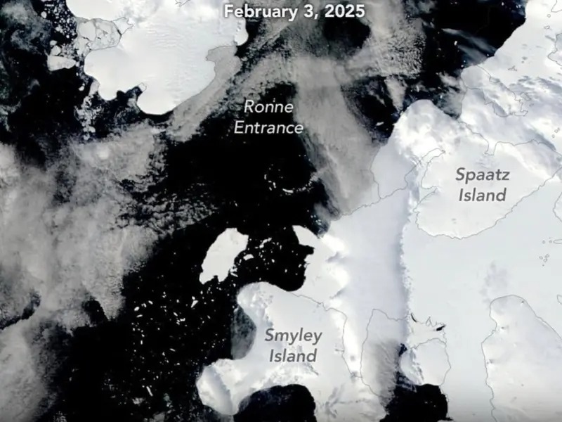 Nuevo iceberg se desprende de la Antártida: Impacto global