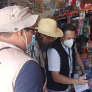 Verificación Nacional Muestral 2025