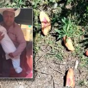 Muerte de tres niños en Chiapas fue por insecticida