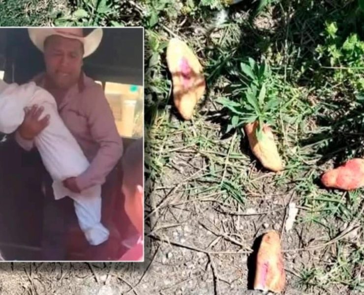Muerte de tres niños en Chiapas fue por insecticida