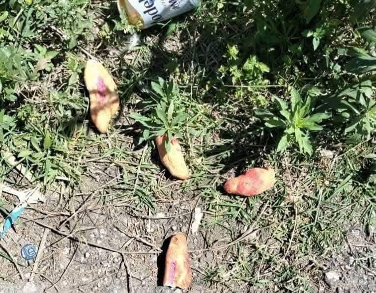 Confirman causa de muerte: envenenamiento