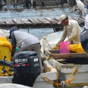 Amenaza sector pesquero ribereño acciones contra Pemex