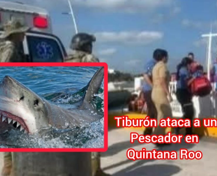 ¡Terror en el mar! Tiburón ataca a pescador en Quintana Roo