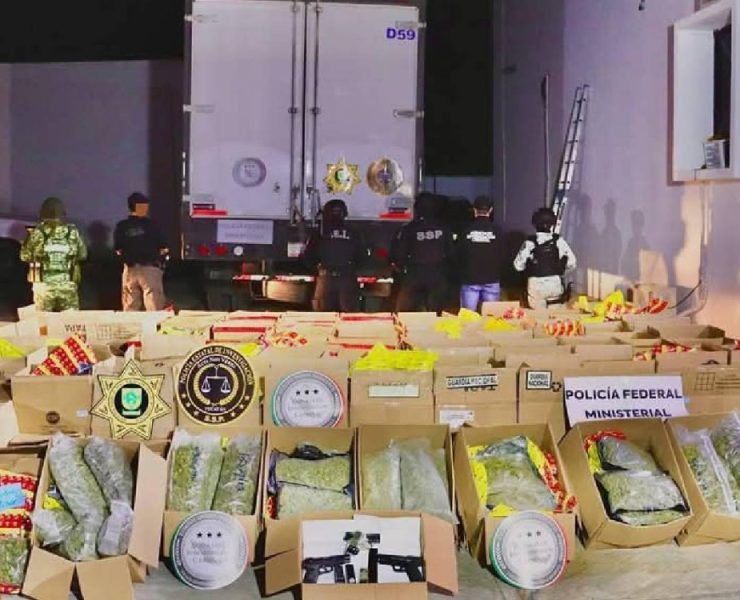 ¡Aseguraron droga en tráiler durante retén! Impactante hallazgo