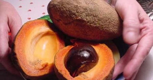 Mamey y su impacto en la salud digestiva