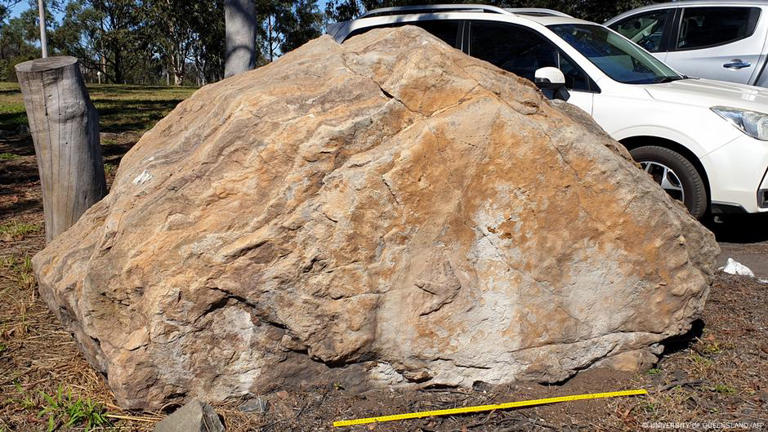 ¿Cómo fueron descubiertas las huellas de dinosaurio?
