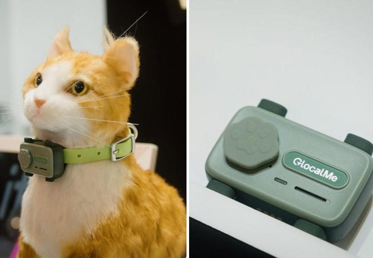 Un teléfono para mascotas, se trata del nuevo "PetPhone"