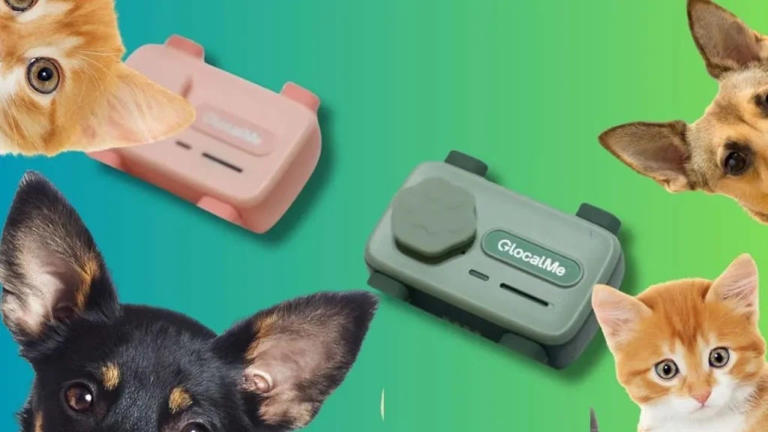 ¿Qué es un teléfono para mascotas?