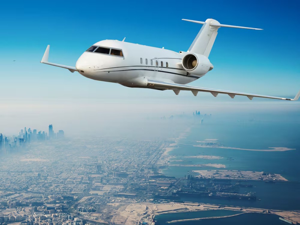 En otro caso curioso, una araña muerde a piloto en pleno vuelo y causa un gran retraso