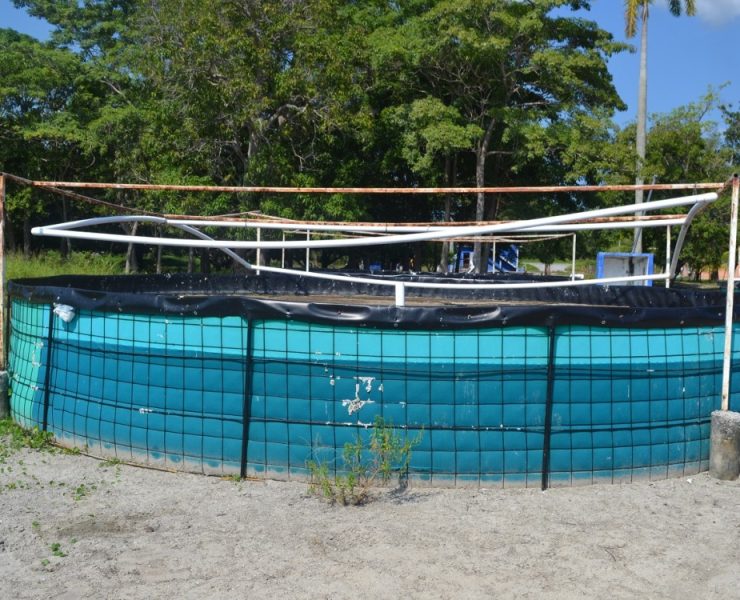 Atrasos en proyectos acuícolas afecta a productores