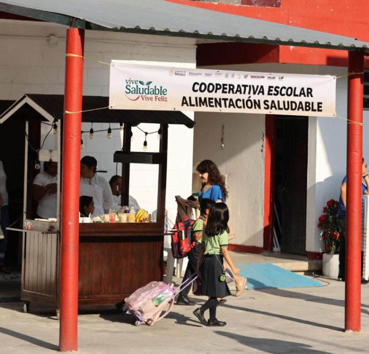 Buscan mejorar salud de 255 mil alumnos de primarias en Tabasco