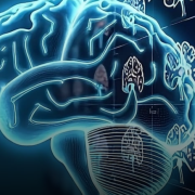 Detección Temprana de Demencia con IA: Revolución Diagnóstica