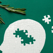 Romero contra el alzhéimer: Su poder para combatir la enfermedad