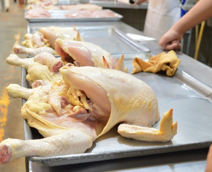 Riesgo de salud pública comprar pollo a comercios ambulantes