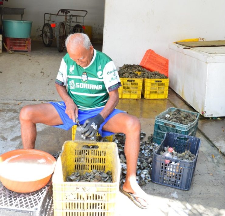 Vigilancia marina frena un poco a ostioneros piratas