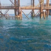 Derrames de crudo siempre afectan a la pesca