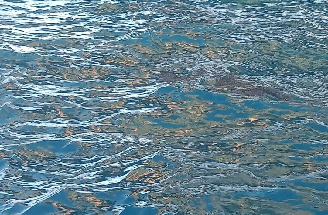 Reportan derrame de crudo en la plataforma Akal C1