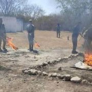 Drogas Destruidas en Yucatán resultado del combate al narcotráfico