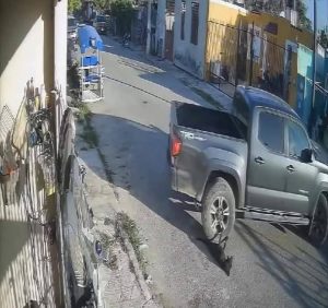 Momento exacto en que Fredy P. le pasa la llanta en las patas traseras, de Negrita.