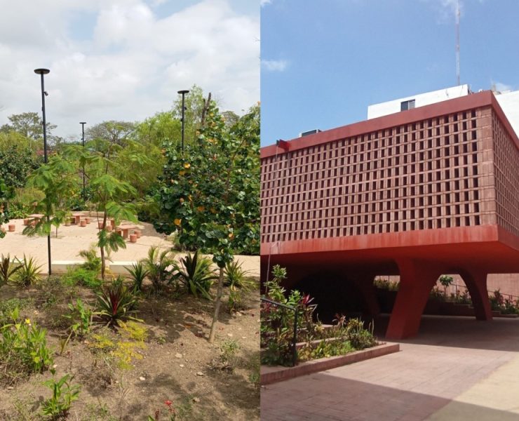 GRAFI – CASOS: Gráficas del malecón Carlos Madrazo