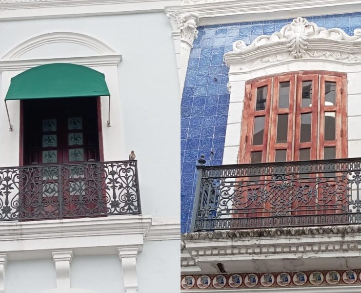 GRAFI – CASOS: Las construcciones