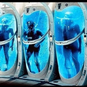 Empresa ofrece congelar tu cuerpo para "revivirlo" en el futuro